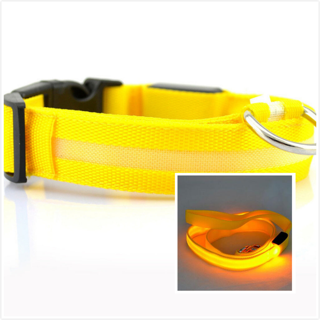 LED Dog Safety Collar