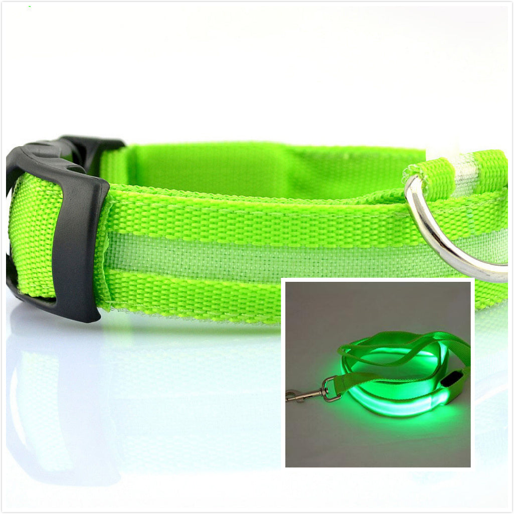 LED Dog Safety Collar