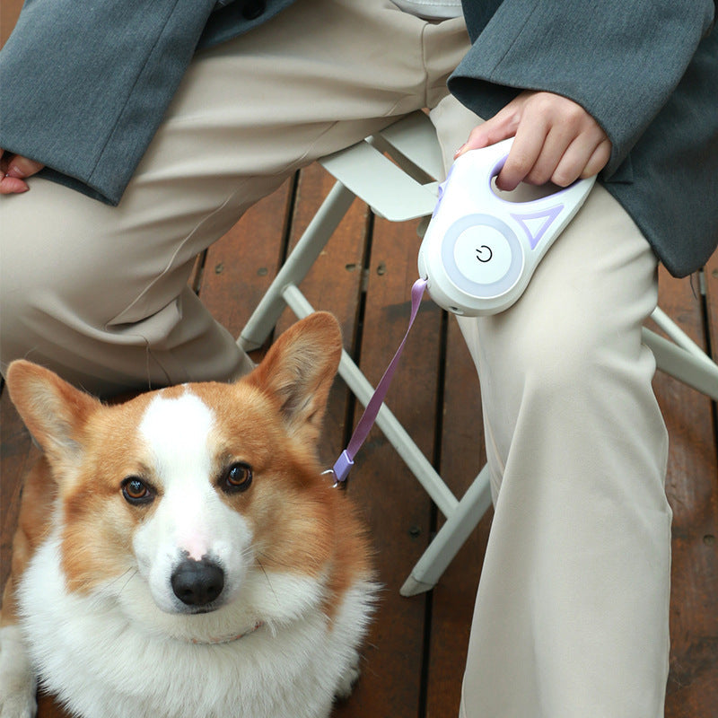 Retractable Dog Leash Light