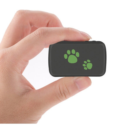 Pet GPS Tracker